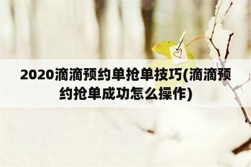 2020滴滴预约单抢单技巧(滴滴预约抢单成功怎么操作)