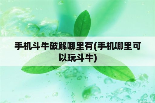 手机斗牛破解哪里有(手机哪里可以玩斗牛)