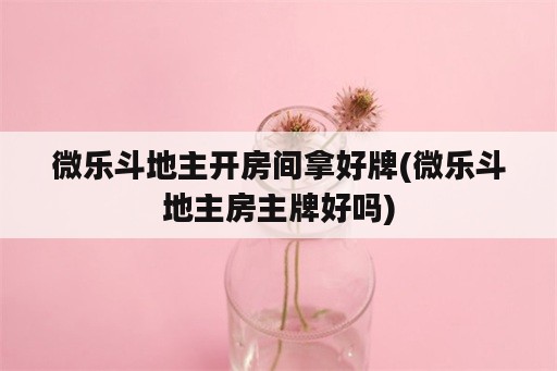 微乐斗地主开房间拿好牌(微乐斗地主房主牌好吗)