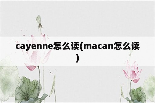 cayenne怎么读(macan怎么读)