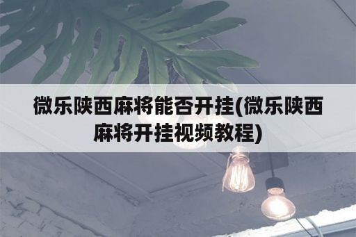 微乐陕西麻将能否开挂(微乐陕西麻将开挂视频教程)