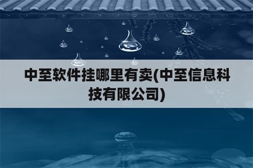 中至软件挂哪里有卖(中至信息科技有限公司)