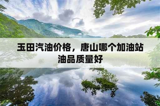 玉田汽油价格，唐山哪个加油站油品质量好