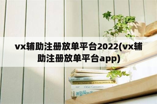 vx辅助注册放单平台2022(vx辅助注册放单平台app)