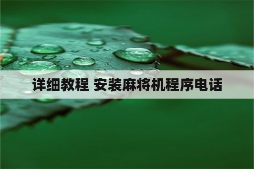 详细教程 安装<strong>麻将</strong>机程序电话