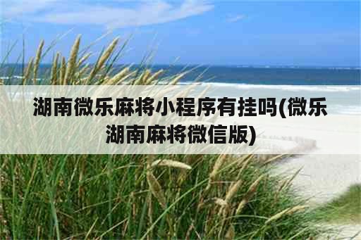 湖南微乐麻将小程序<strong>有挂</strong>吗(微乐湖南麻将微信版)