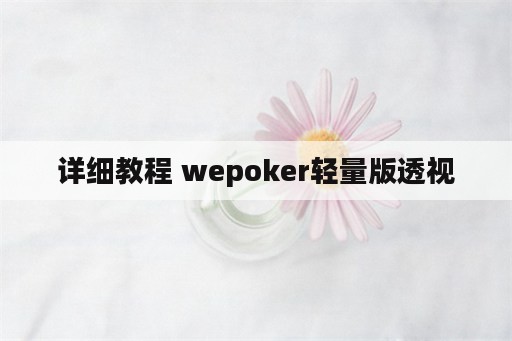 详细教程 wepoker轻量版透视