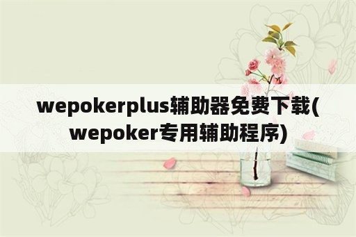 wepokerplus辅助器免费下载(wepoker专用辅助程序)
