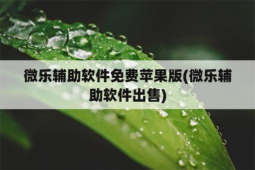 微乐<strong>辅助</strong>软件免费苹果版(微乐<strong>辅助</strong>软件出售)