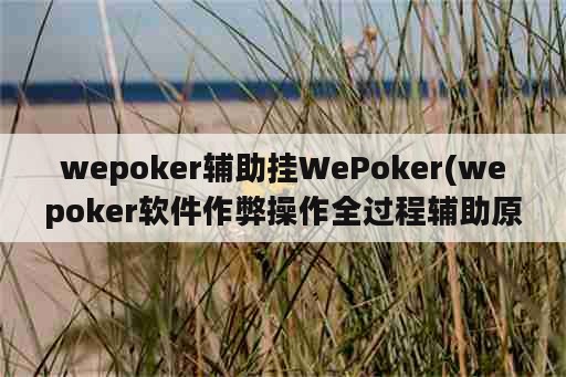 wepoker辅助挂WePoker(wepoker软件作弊操作全过程辅助原来这么简单)