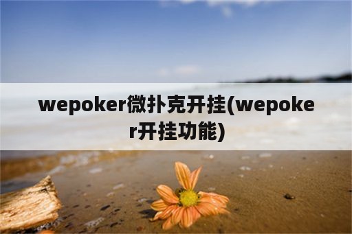 wepoker微扑克开挂(wepoker开挂功能)
