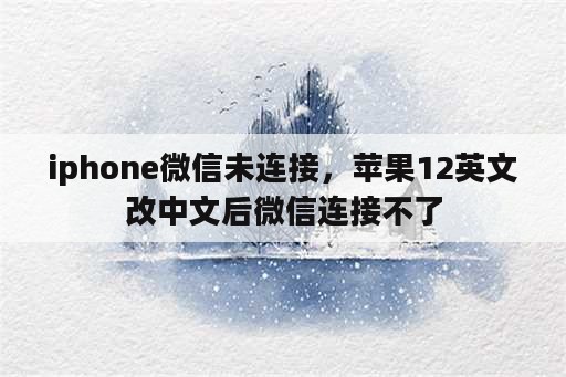 iphone微信未连接，苹果12英文改中文后微信连接不了