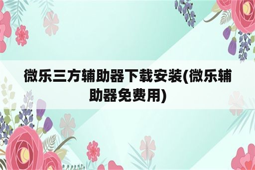 微乐三方辅助器下载安装(微乐辅助器免费用)