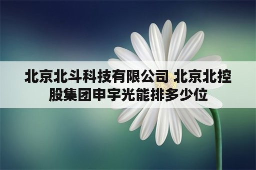 北京北斗科技有限公司 北京北控股集团申宇光能排多少位