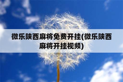 微乐陕西麻将免费开挂(微乐陕西麻将开挂视频)