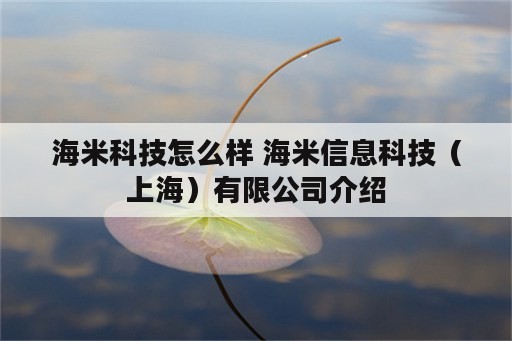 海米科技怎么样 海米信息科技（上海）有限公司介绍
