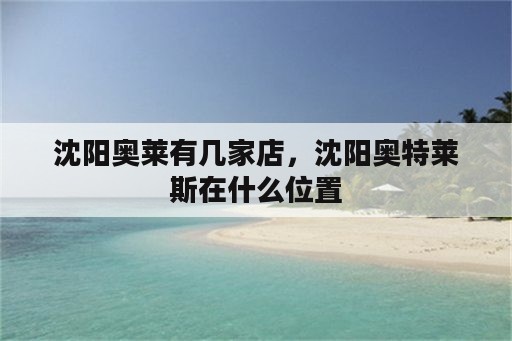 沈阳奥莱有几家店，沈阳奥特莱斯在什么位置