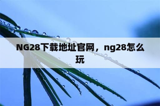 NG28下载地址官网，ng28怎么玩