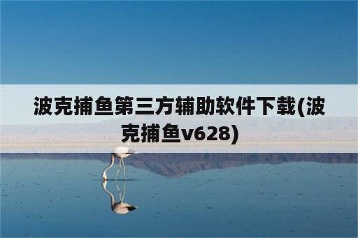 波克捕鱼第三方辅助软件下载(波克捕鱼v628)