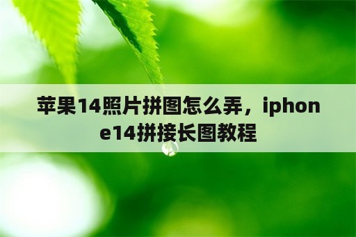 苹果14照片拼图怎么弄，iphone14拼接长图教程