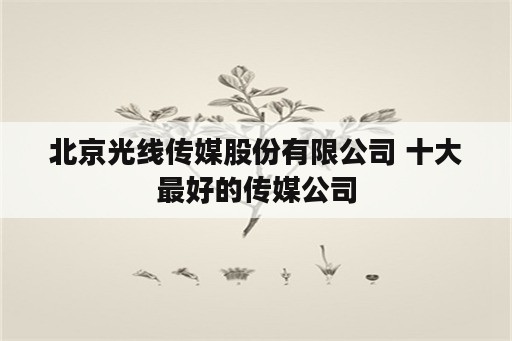 北京光线传媒股份有限公司 十大最好的传媒公司