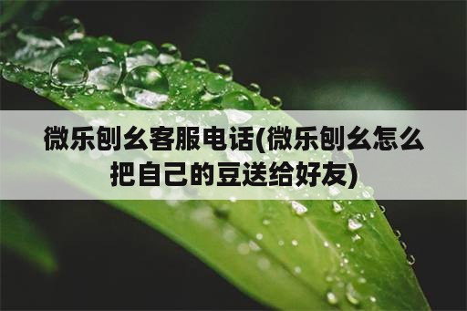 微乐刨幺客服电话(微乐刨幺怎么把自己的豆送给好友)