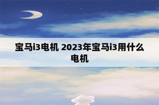 宝马i3电机 2023年宝马i3用什么电机