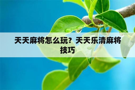 天天麻将怎么玩？天天乐清麻将技巧