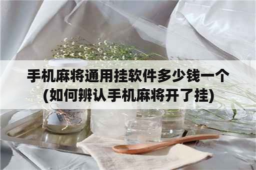 手机麻将通用挂<strong>软件</strong>多少钱一个(如何辨认手机麻将开了挂)