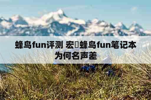 蜂鸟fun评测 宏碁蜂鸟fun笔记本为何名声差