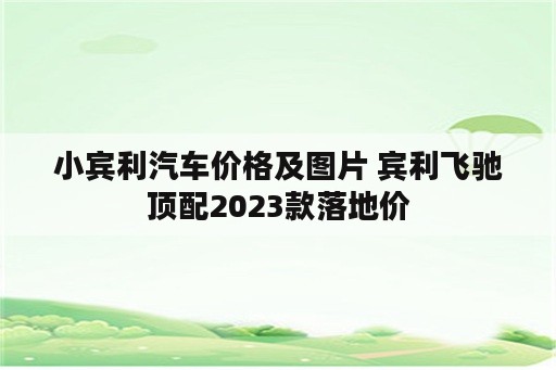 小宾利汽车价格及图片 宾利飞驰顶配2023款落地价