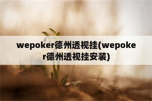 wepoker德州透视挂(wepoker德州透视挂安装)