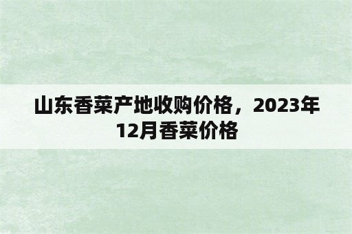 山东香菜产地收购价格，2023年12月香菜价格