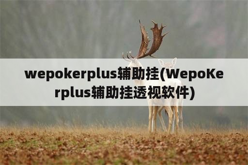 wepokerplus辅助挂(WepoKerplus辅助挂透视软件)