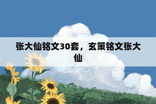 张大仙铭文30套，玄策铭文张大仙