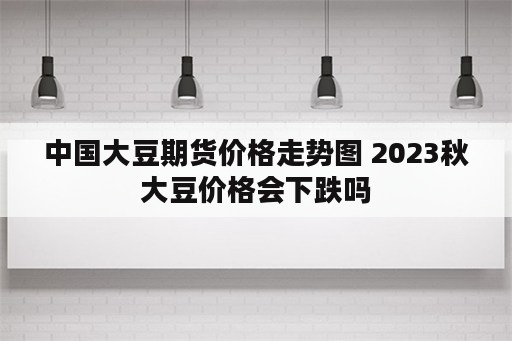 中国大豆期货价格走势图 2023秋大豆价格会下跌吗