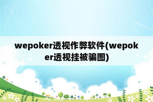 wepoker透视作弊软件(wepoker透视挂被骗图)