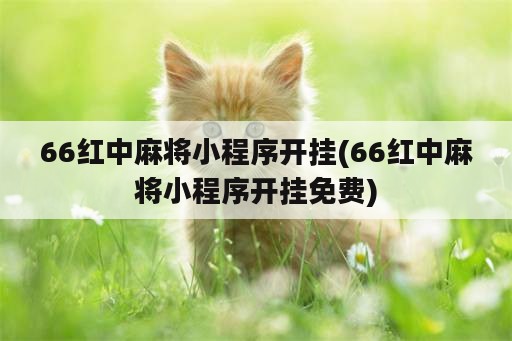 66红中麻将小程序开挂(66红中麻将小程序开挂免费)