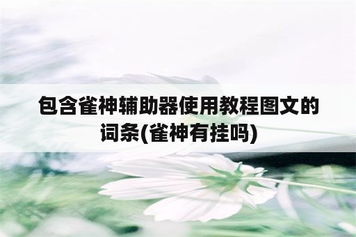 包含雀神<strong>辅助</strong>器使用教程图文的词条(雀神有挂吗)