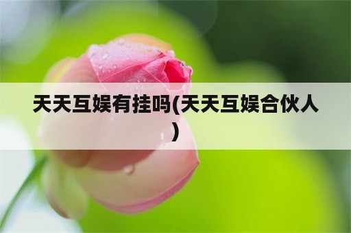 天天互娱<strong>有挂</strong>吗(天天互娱合伙人)