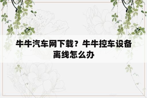 牛牛汽车网下载？牛牛控车设备离线怎么办