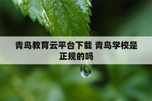 青鸟教育云平台下载 青鸟学校是正规的吗