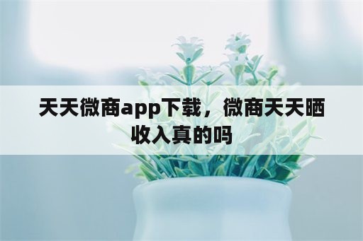 天天微商app下载，微商天天晒收入真的吗