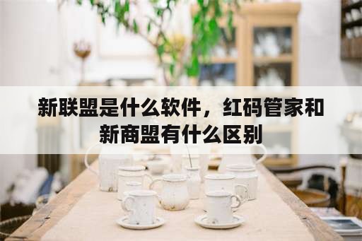 新联盟是什么软件，红码管家和新商盟有什么区别