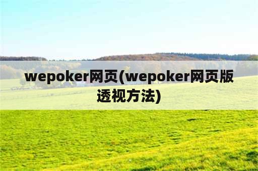 wepoker网页(wepoker网页版透视方法)