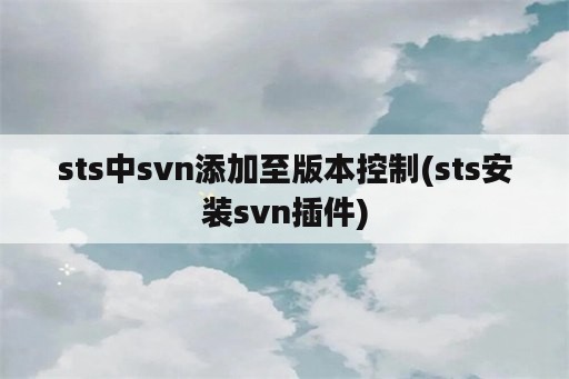 sts中svn添加至版本控制(sts安装svn插件)