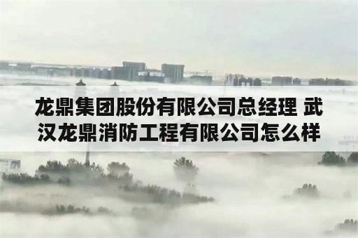 龙鼎集团股份有限公司总经理 武汉龙鼎消防工程有限公司怎么样