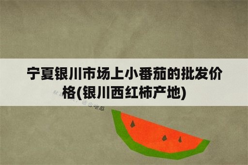 宁夏银川市场上小番茄的批发价格(银川西红柿产地)
