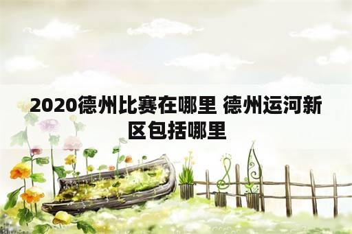 2020德州比赛在哪里 德州运河新区包括哪里