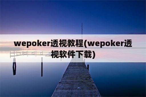 wepoker透视教程(wepoker透视软件下载)
